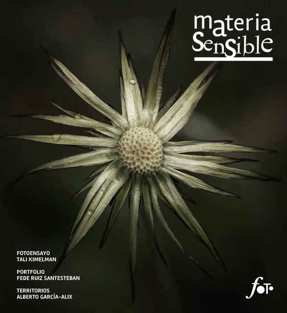 94912-MATERIA-SENSIBLE-16-0000000000013