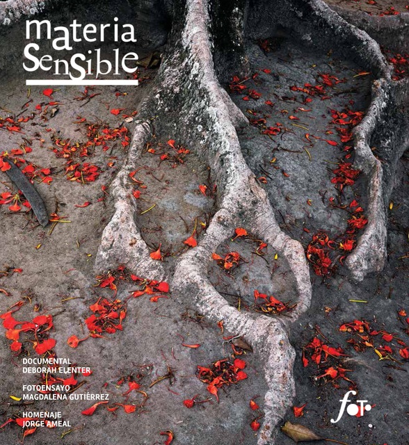 94914-MATERIA-SENSIBLE-18-0000000000016