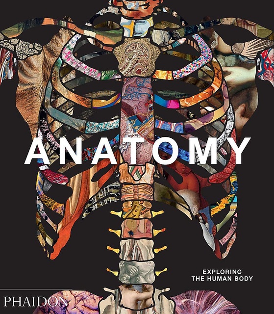90509-ANATOMY-EXPLORING-THE-HUMAN-BODY-9780714879888