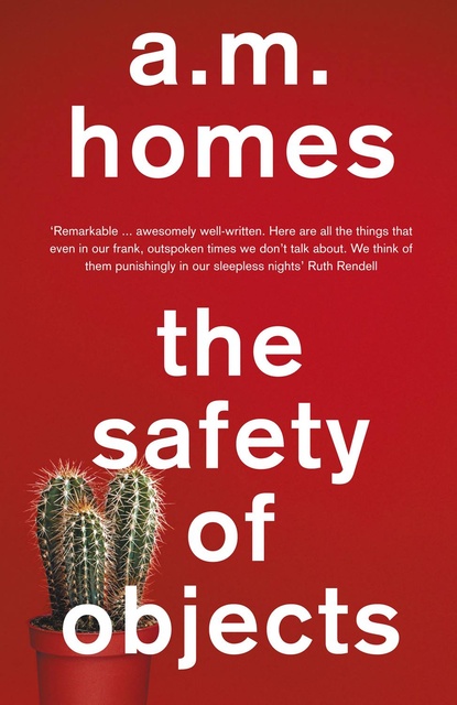 72696-THE-SAFETY-OF-OBJECTS-9781847087300
