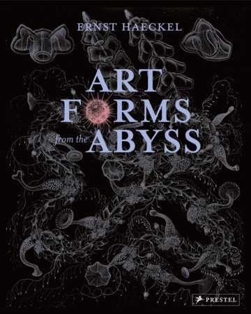 103403-ART-FORMS-FROM-TH-ABYSS-9783791381411