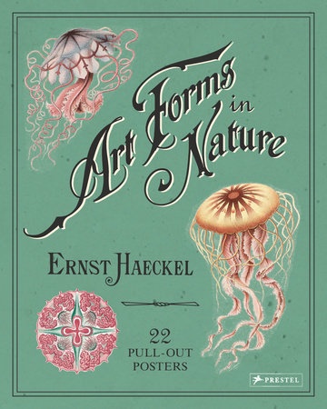 103314-ART-FORMS-IN-NATURE-POSTER-BOOK-9783791382630