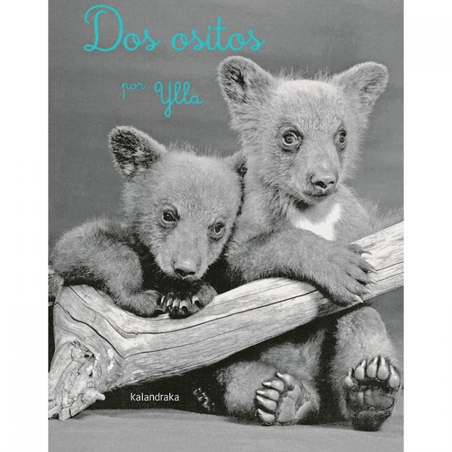 115967-DOS-OSITOS-9788413431161