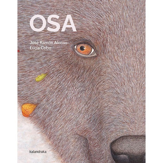 141288-OSA-9788413432908