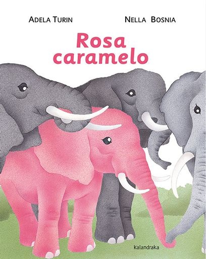 71333-ROSA-CARAMELO-9788484647980