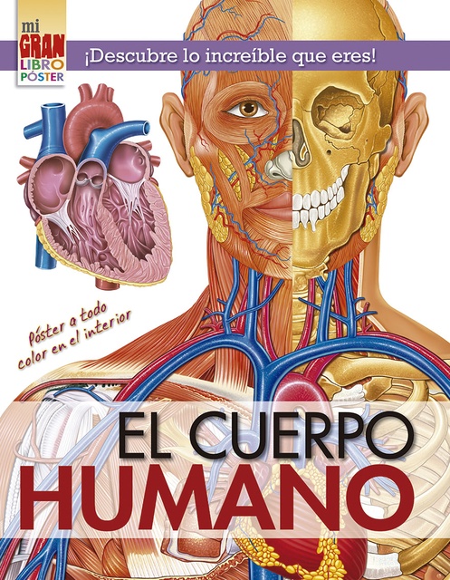 103186-MI-GRAN-LIBRO-POSTER-EL-CUERPO-HUMANO-9788491453840