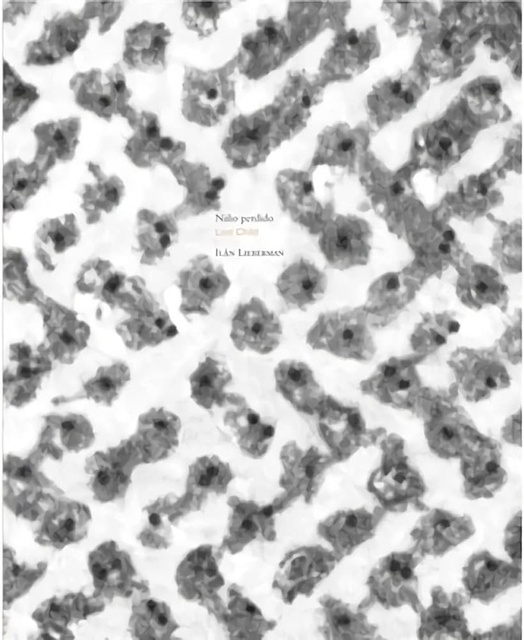 128023-NINO-PERDIDO-9788492480548