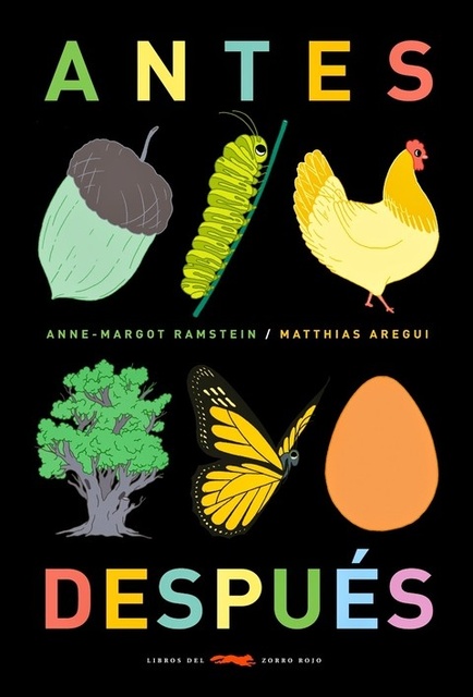 85323-ANTES-DESPUES-9788494164583