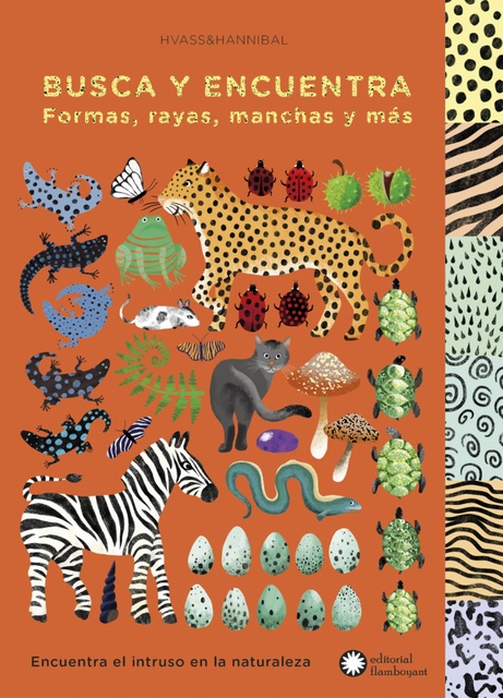 81961-BUSCA-Y-ENCUENTRA-FORMAS-RAYAS-MANCHAS-9788494504273