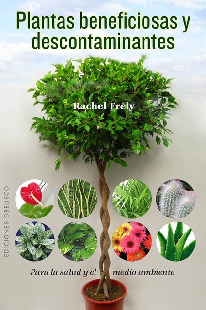 44782-PLANTAS-BENEFICIOSAS-Y-DESCONTAMINANTES-9788497779319