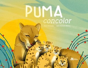 144026-PUMA-CONCOLOR-9789563643435