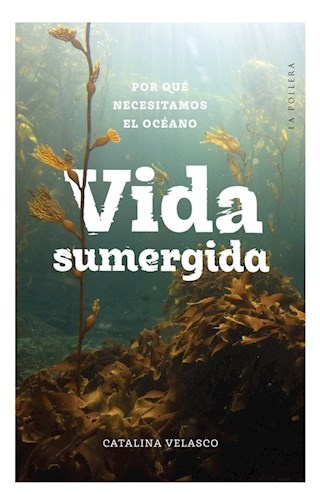 125667-VIDA-SUMERGIDA-9789566087656
