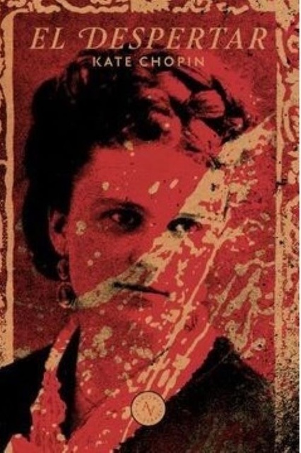 133213-DESPERTAR-9789566188278