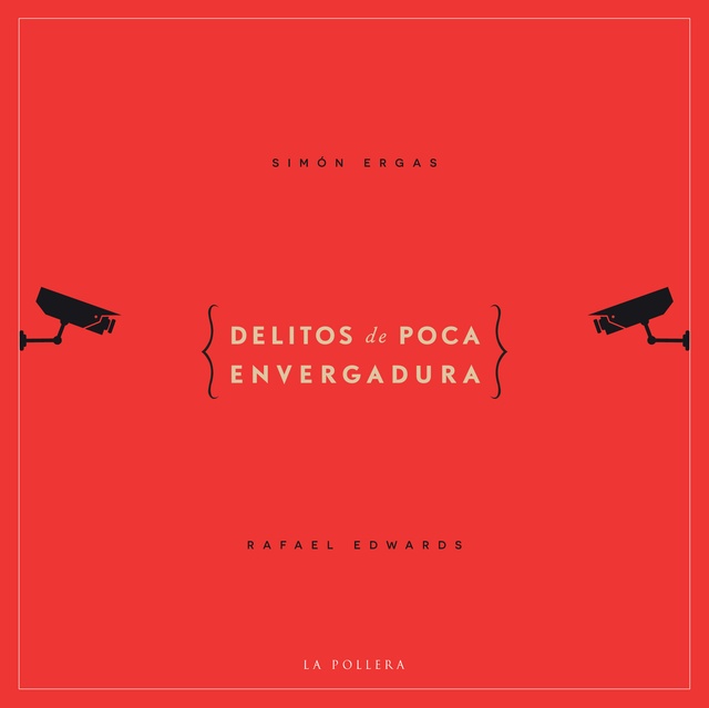 88751-DELITOS-DE-POCA-ENVERGADURA-9789569203466