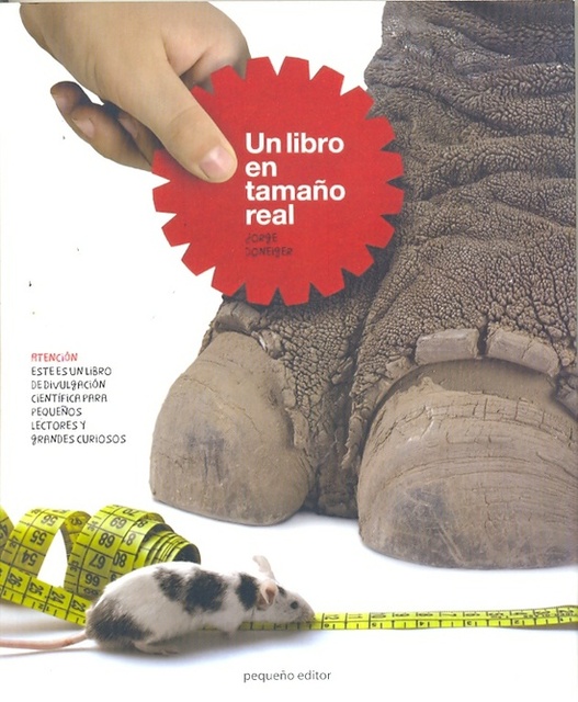 82110-UN-LIBRO-EN-TAMANO-REAL-9789871374106