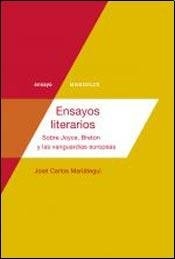 74246-ENSAYOS-LITERARIOS-MARIATEGUI-9789872803131
