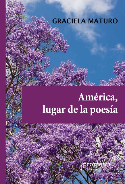 141868-LUGAR-DE-LA-POESIA-AMERICA-9789878451251