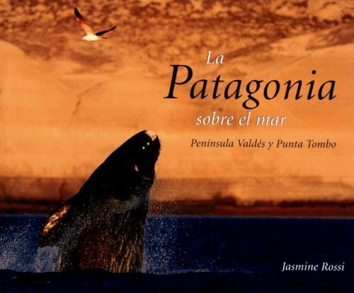 7264-LA-PATAGONIA-SOBRE-EL-MAR-9789879395066
