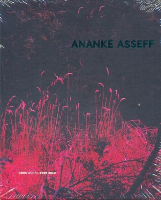 119297-ANANKE-ASSEFF-ABRA-WORKS-1999-2012-9789879395806