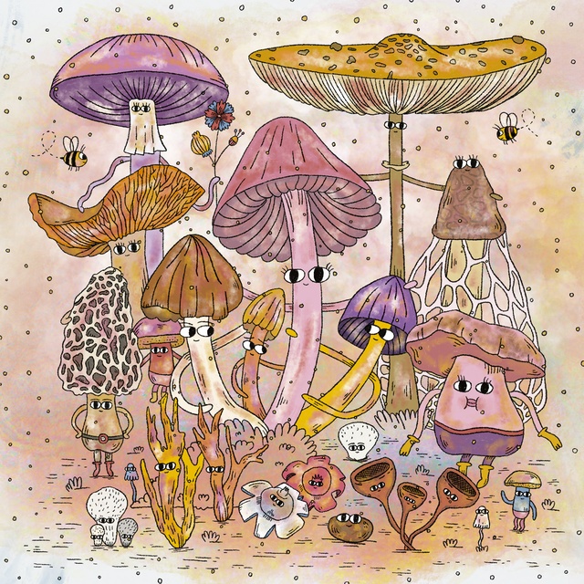 134833-AMIGONGOS-9789915420752