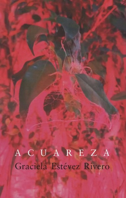 133854-ACUAREZA-9789915676494