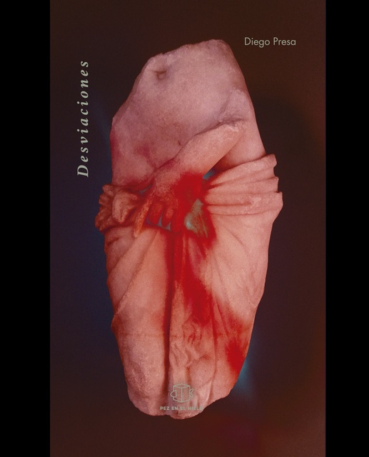 96647-DESVIACIONES-9789915932316