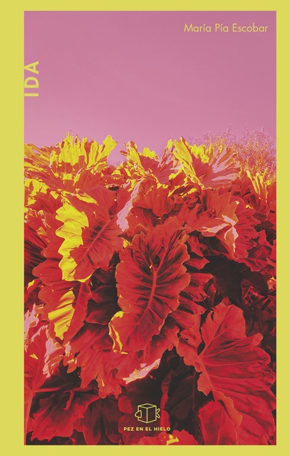 114749-IDA-9789915950402