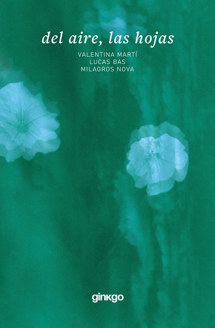 139268-LAS-HOJAS-DEL-AIRE-9789915970592